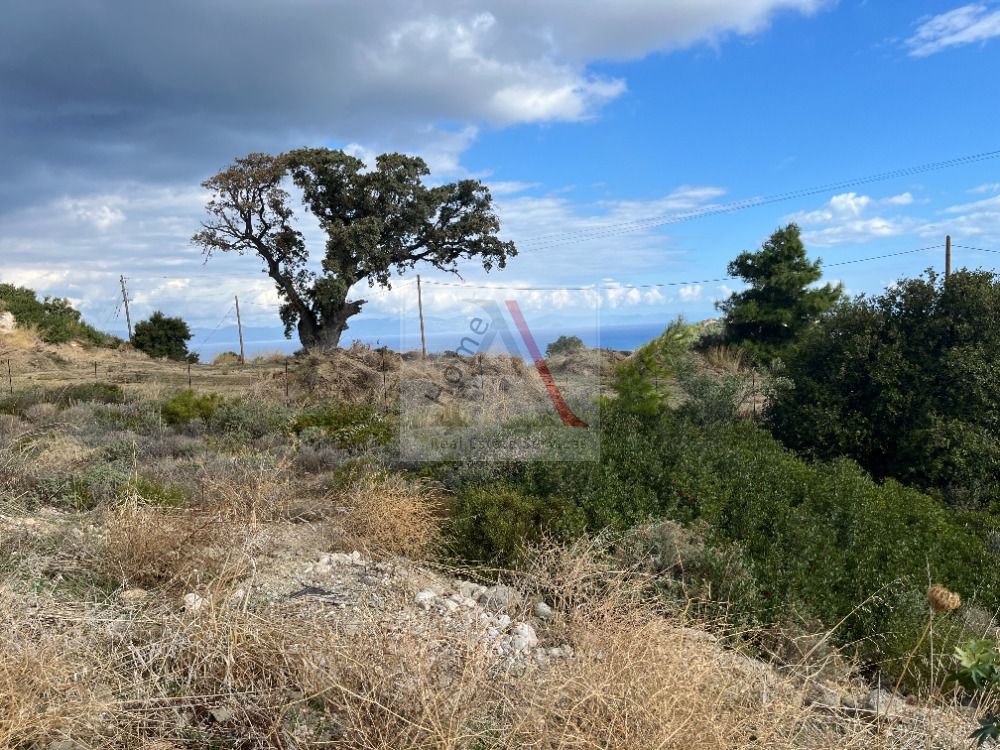 Land in Rhodes - view 1