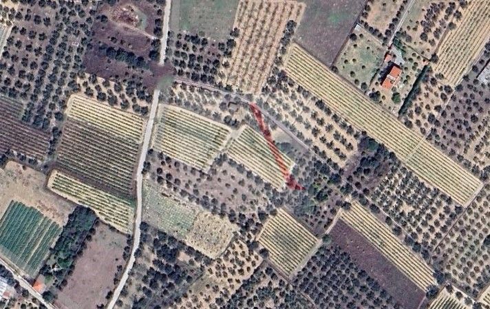 Land in Xylokastro - view 1