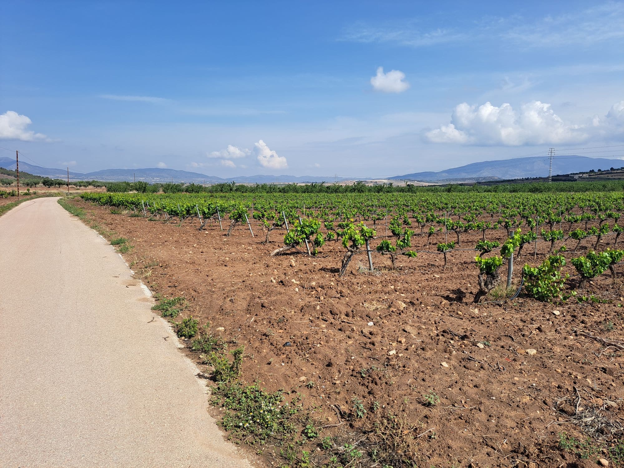 Land in Alicante - view 1