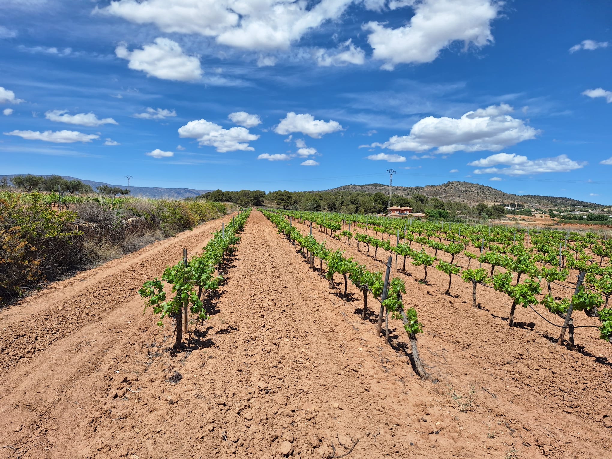 Land in Alicante - view 1