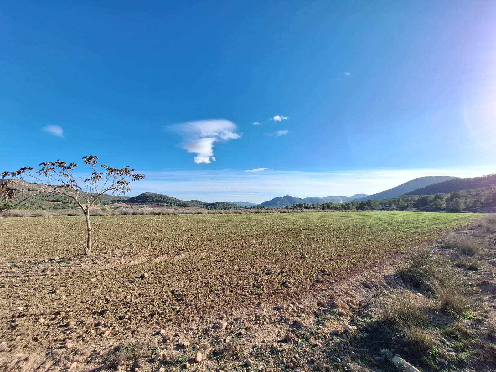 Land in Alicante - view 1