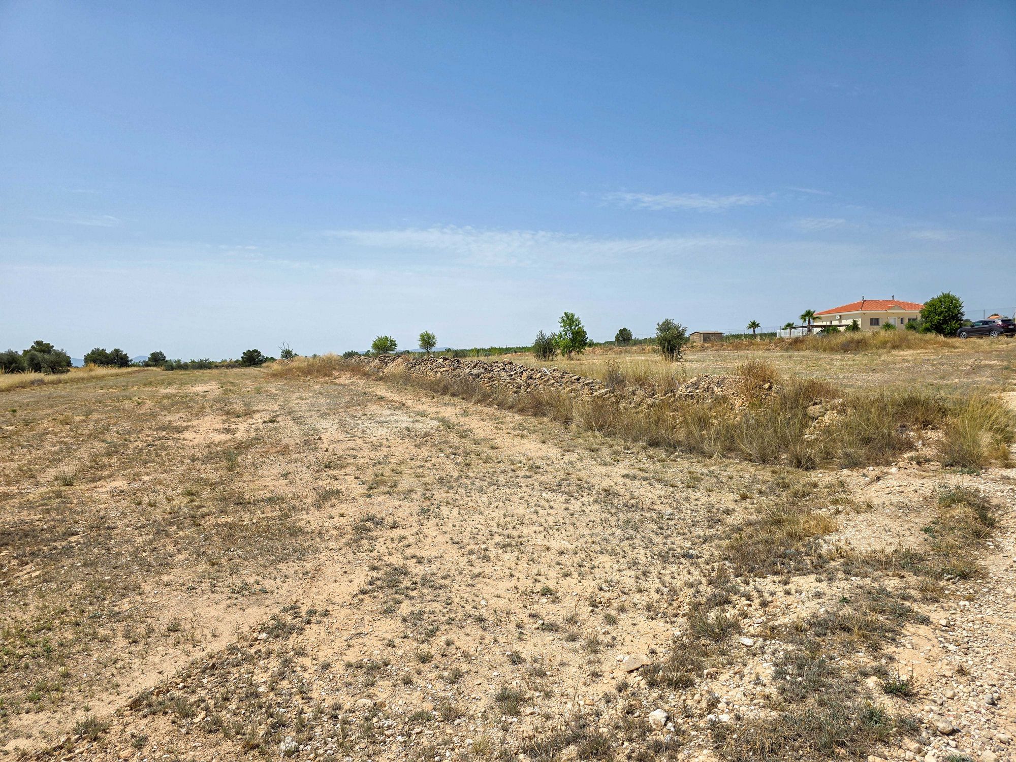 Land in Pinoso - view 1