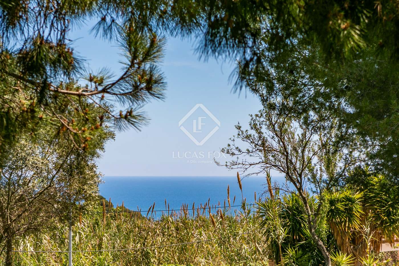 Land in Cabrera de Mar - view 1