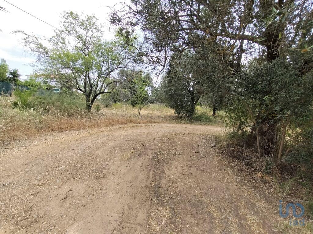 Land in Loule - view 1
