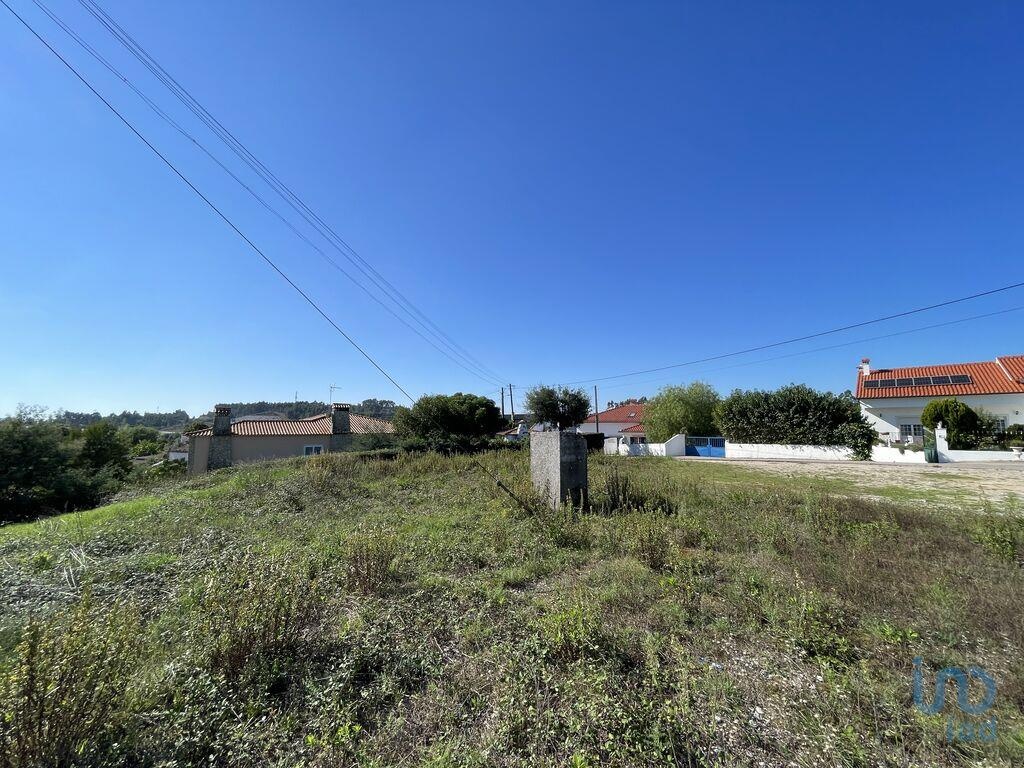 Land in Tomar - view 1