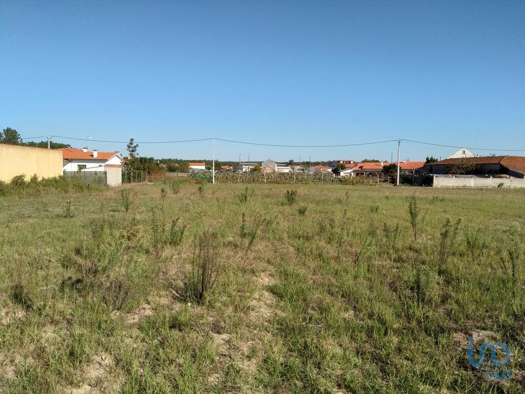 Land in Leiria - view 1