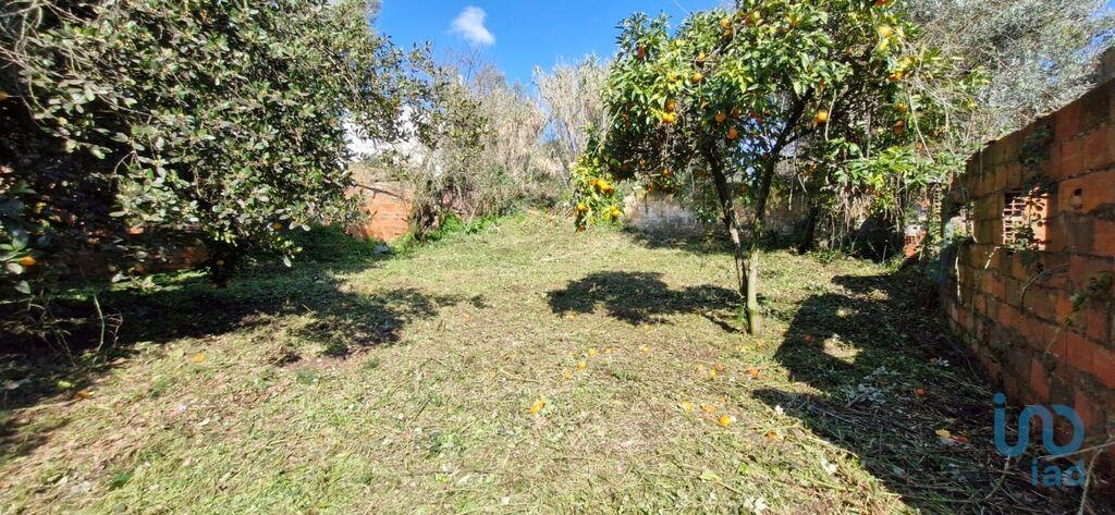 House in Rio Maior - view 1