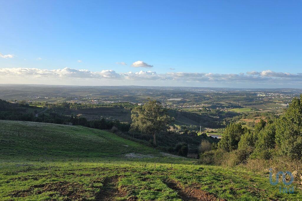Land in Cadaval - view 1
