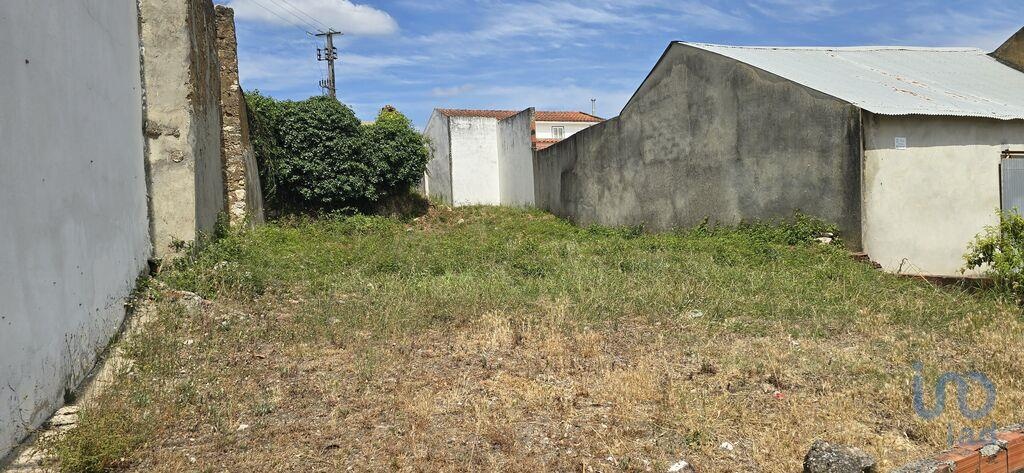 Land in Rio Maior - view 1