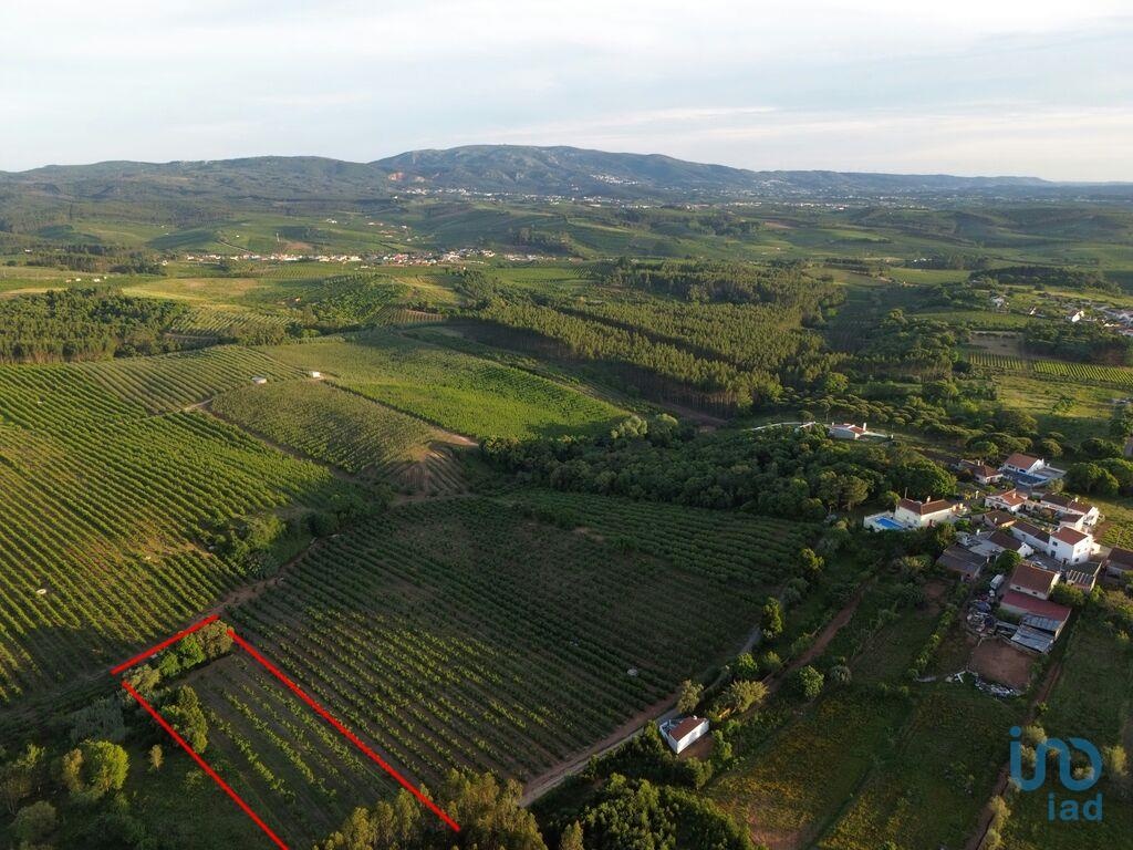 Land in Cadaval - view 1
