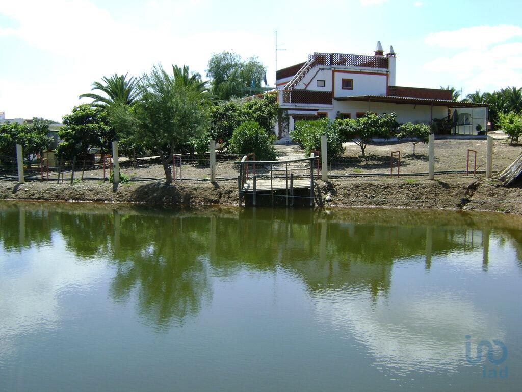 Land in Beja - view 1