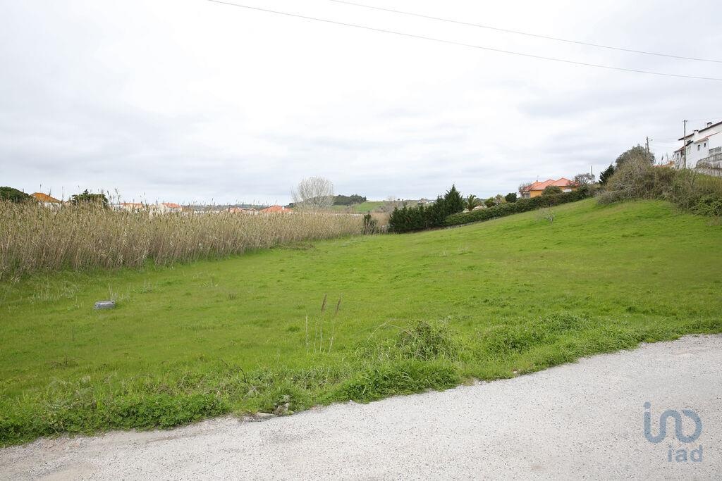 Land in Torres Vedras - view 1