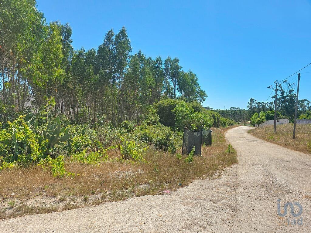 Land in Lourinha - view 1