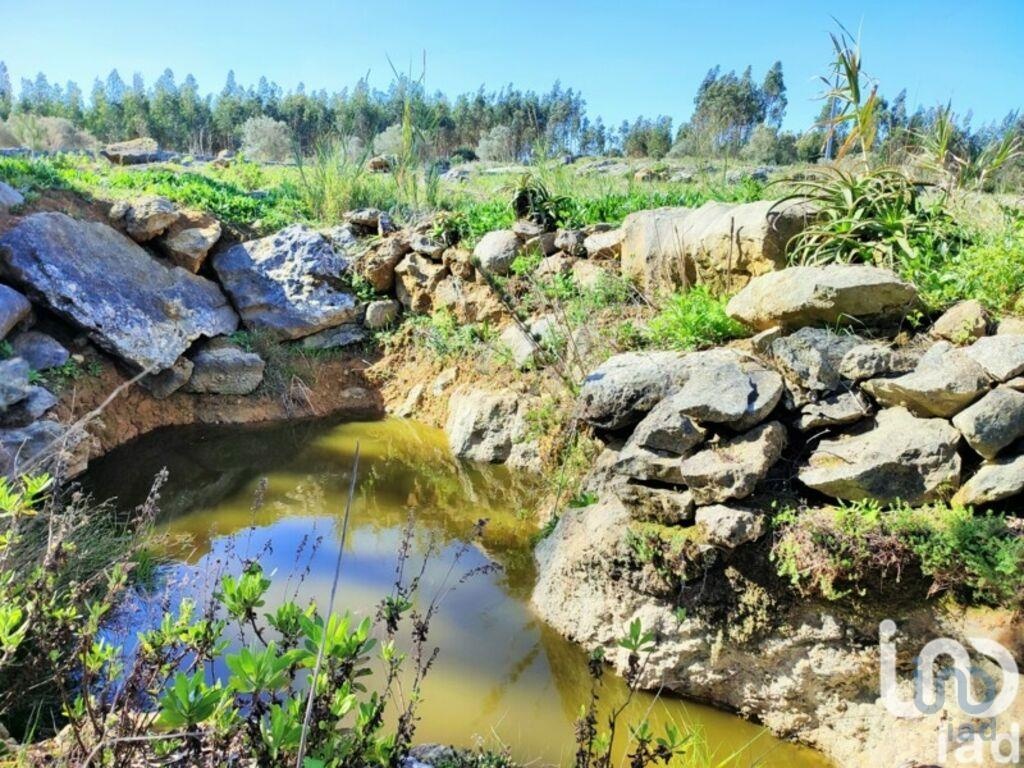 Land in Lourinha - view 1