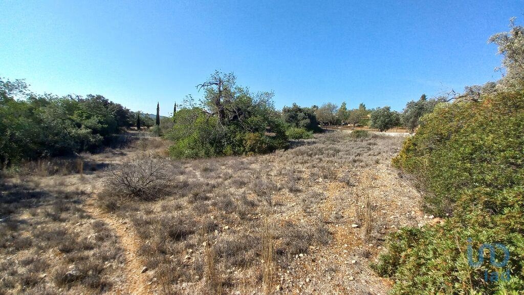 Land in Loule - view 1