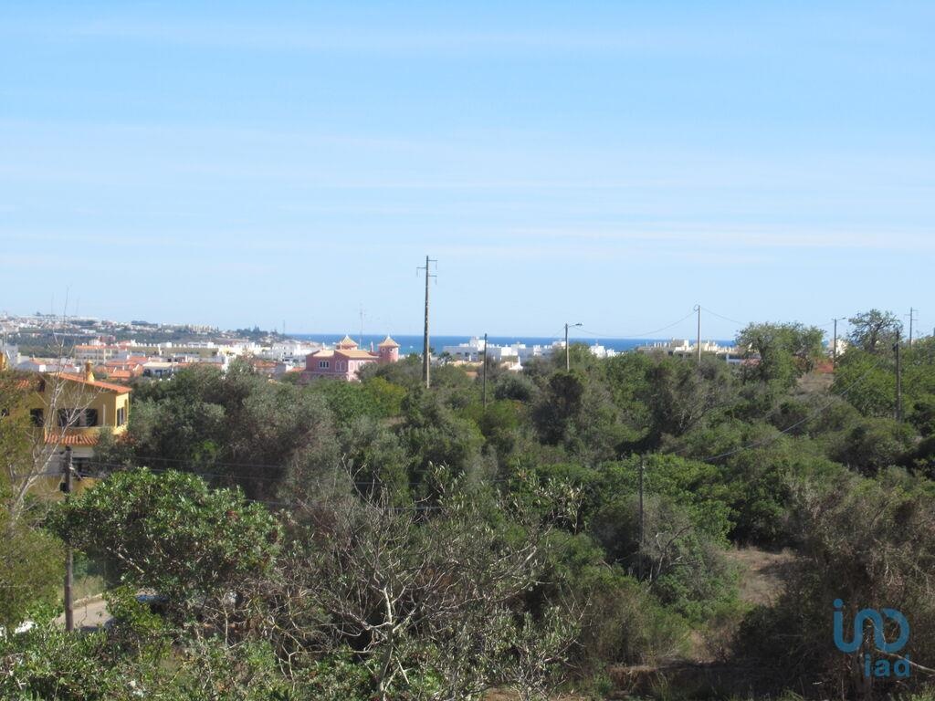 Land in Silves - view 1