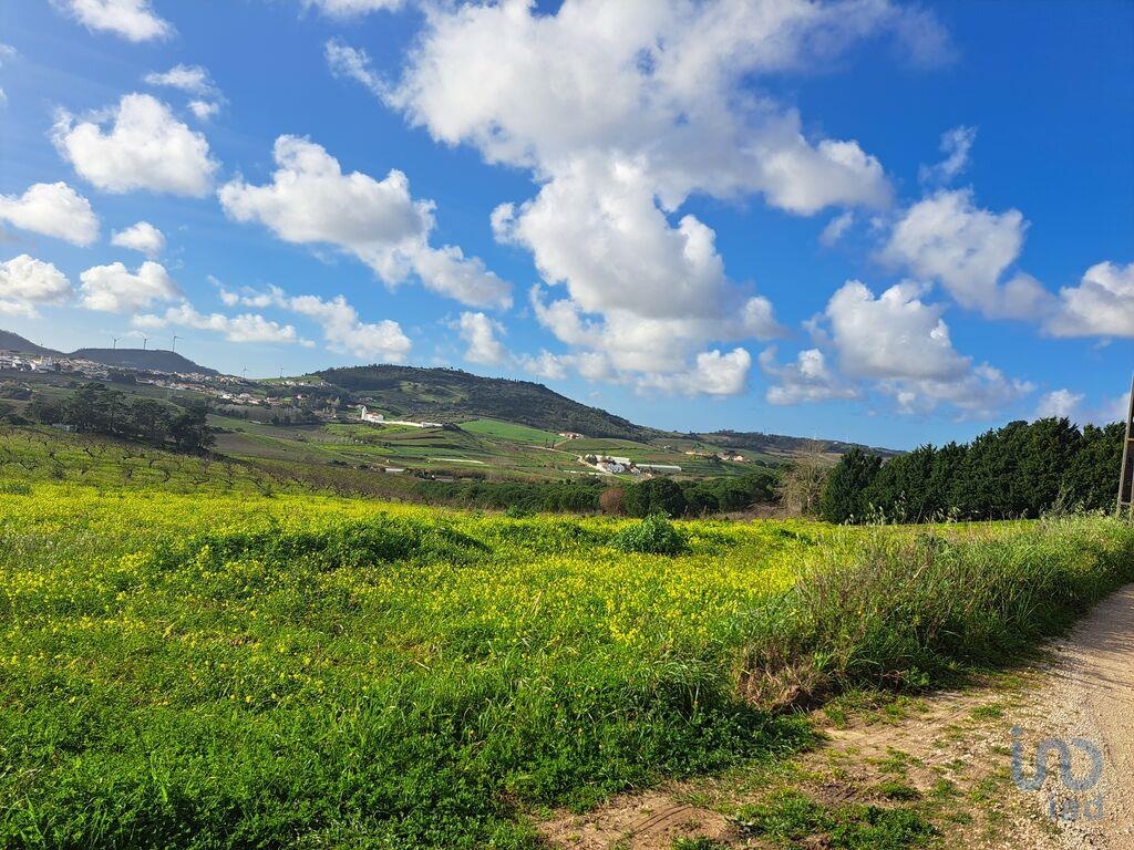Land in Mafra - view 1