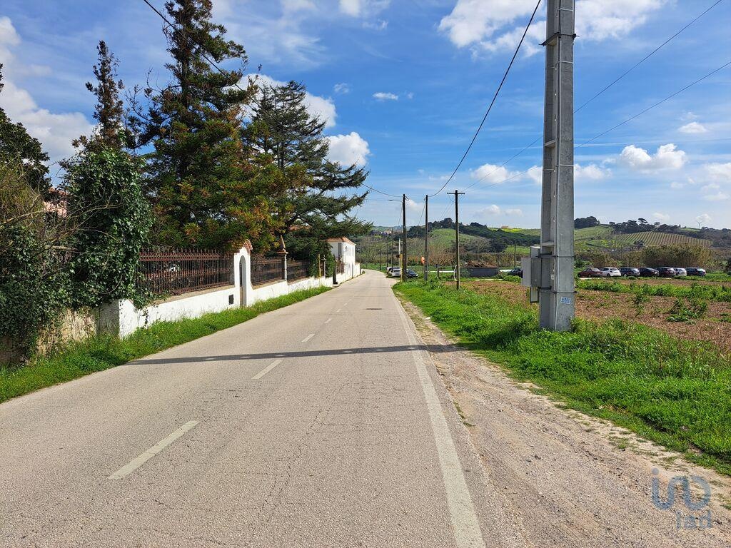 Land in Mafra - view 1