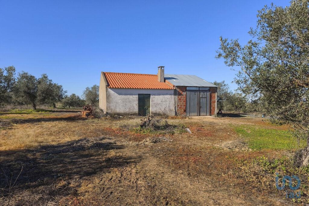 Land in Mourao - view 1