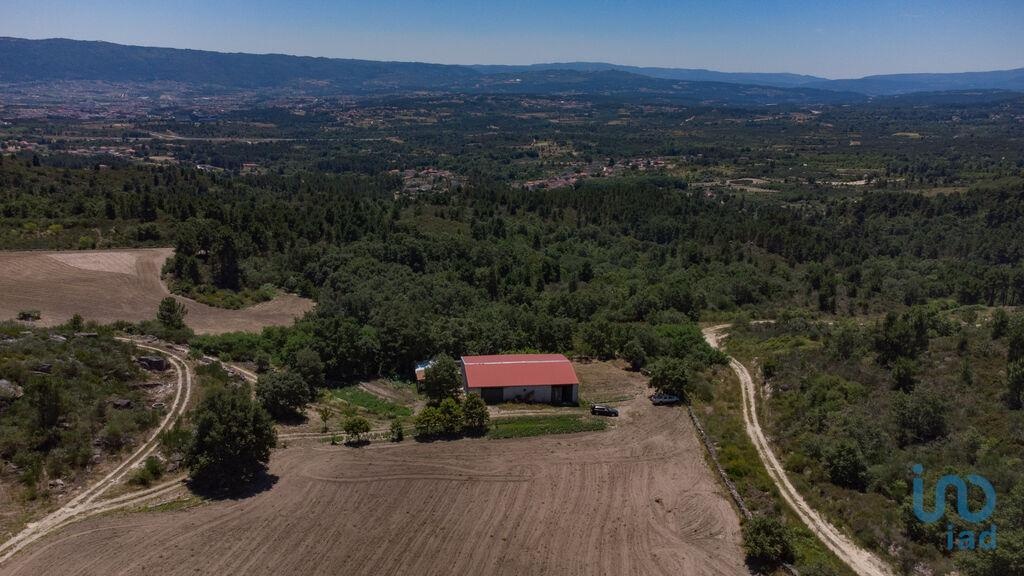 Land in Chaves - view 1