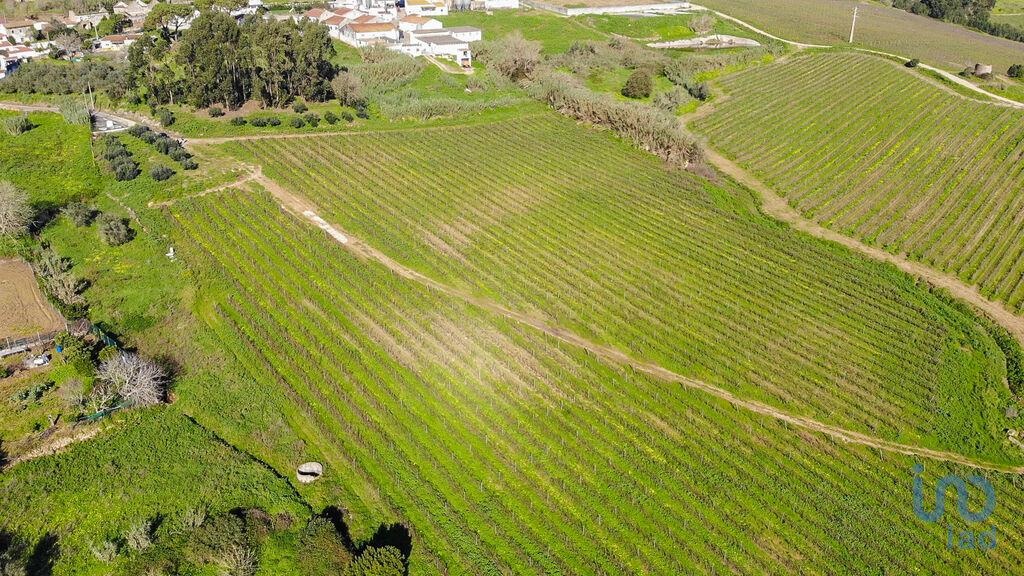 Land in Torres Vedras - view 1