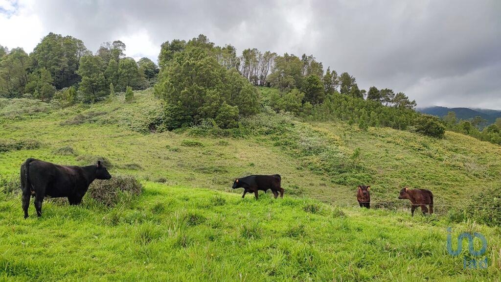 Land in Povoacao - view 1