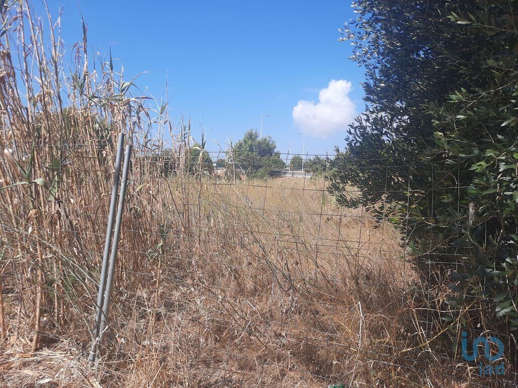 Land in Cascais - view 1