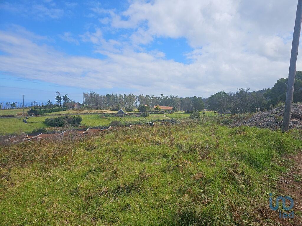 Land in Porto Moniz - view 1