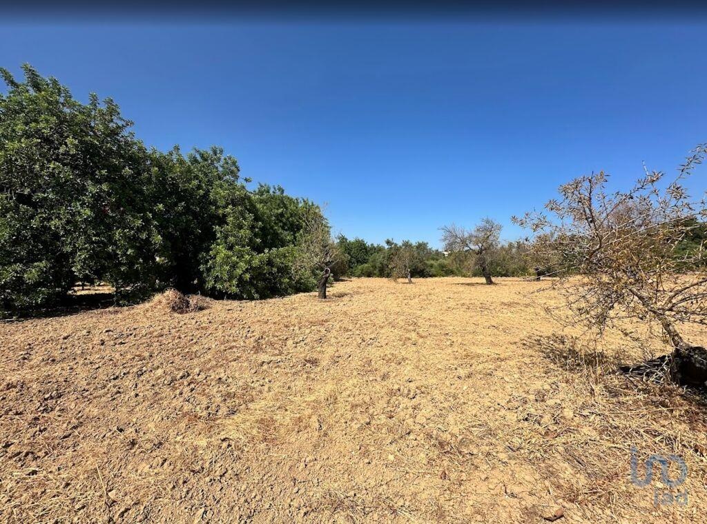 Land in Tavira - view 1