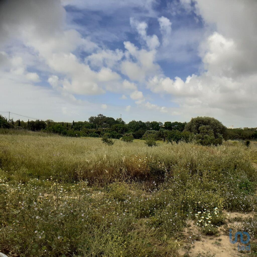 Land in Tavira - view 1