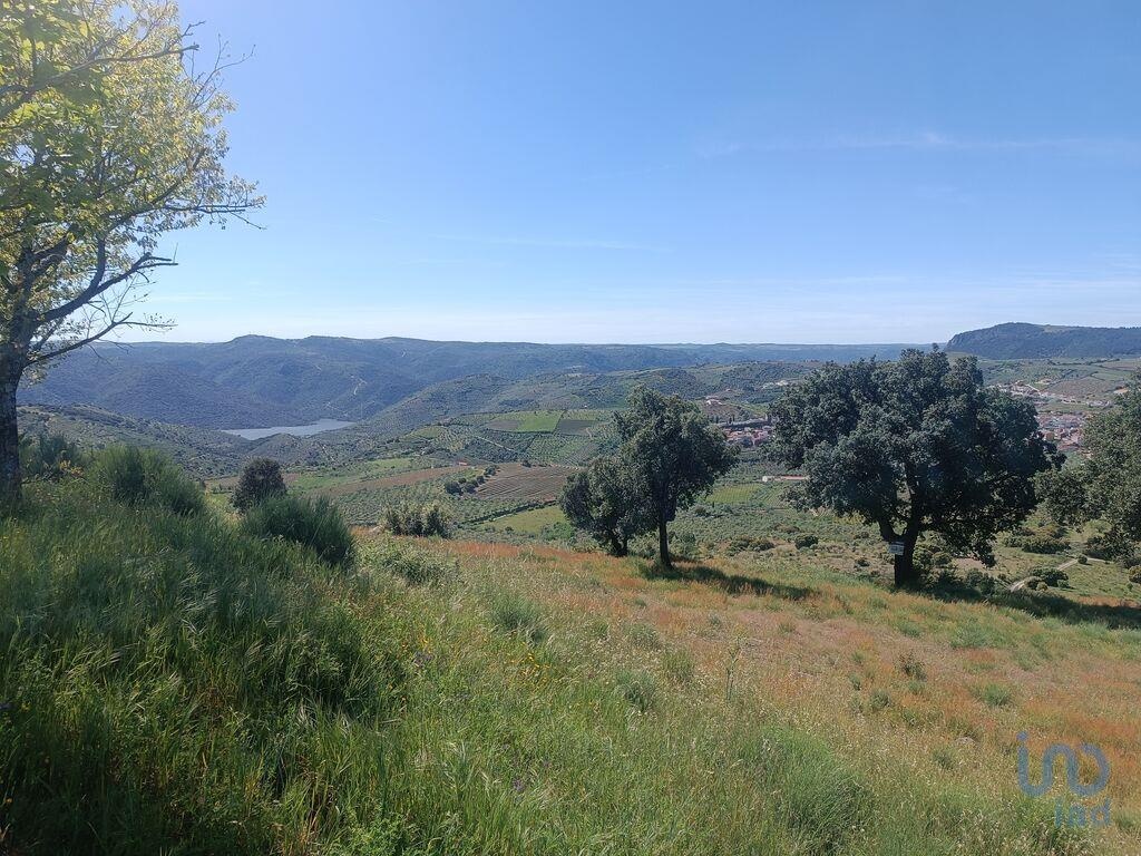 Land in Freixo de Espada A Cinta - view 1