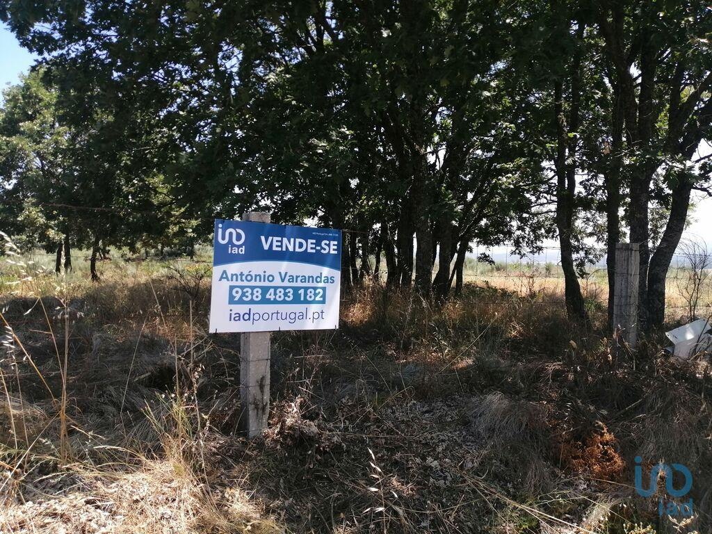 Land in Sabugal - view 1