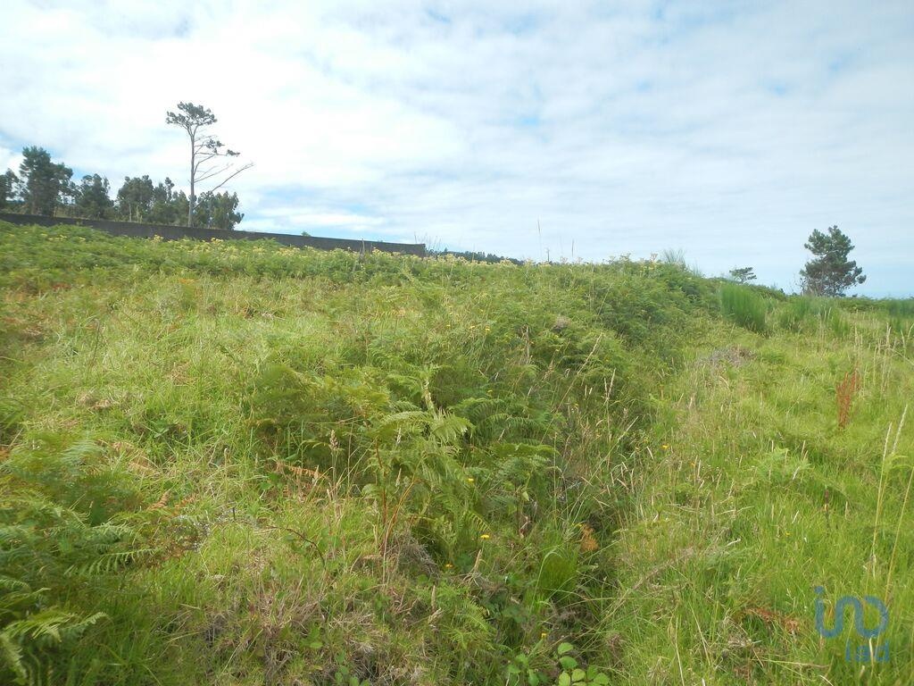 Land in Arco da Calheta - view 1