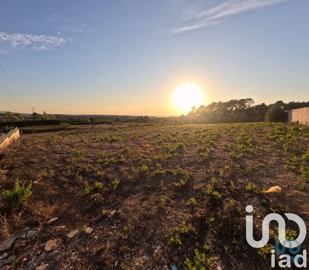 Land in Mafra - view 1