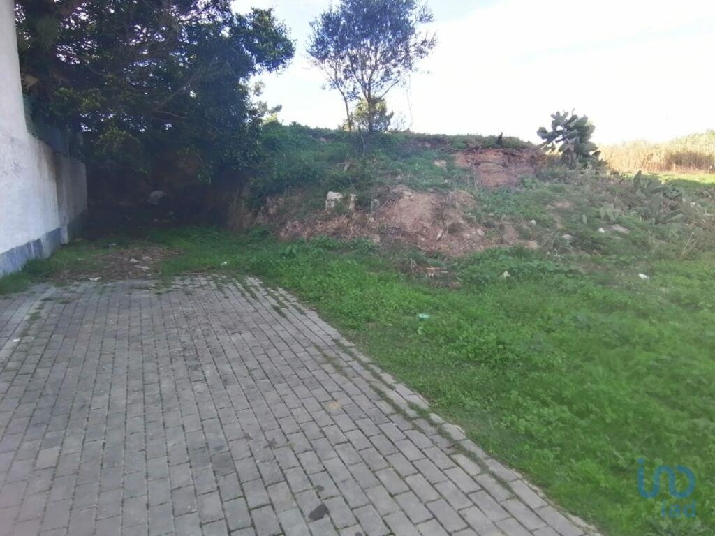 Land in Mafra - view 1