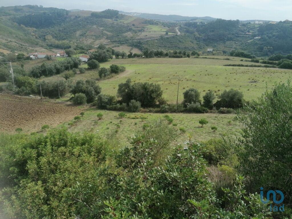 Land in Mafra - view 1