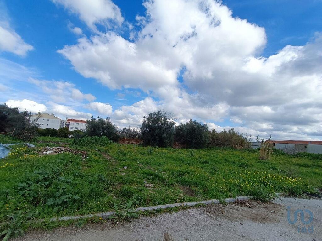 Land in Evora - view 1