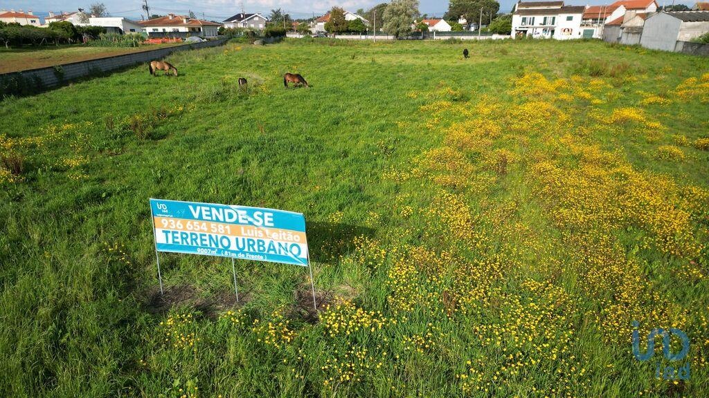 Land in Aveiro - view 1