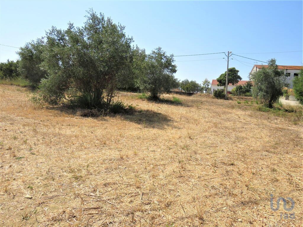 Land in Tomar - view 1