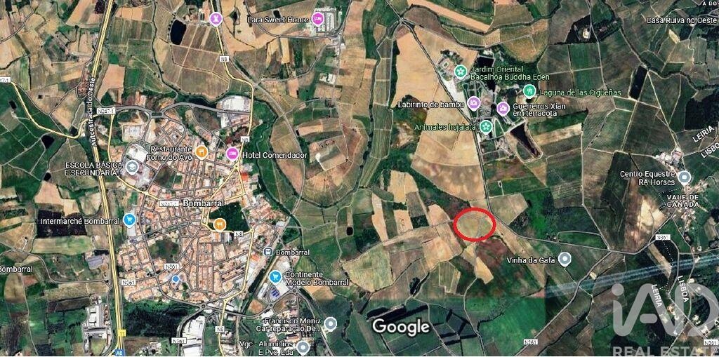 Land in Carvalhal - view 1