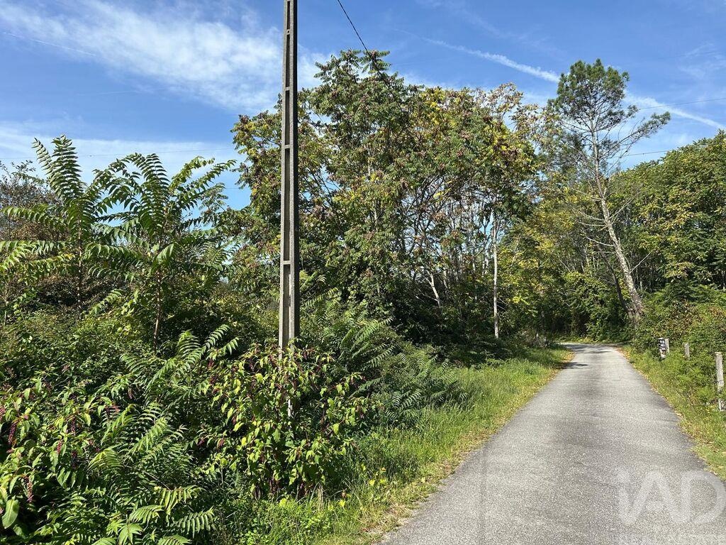 Land in Sabariz - view 1