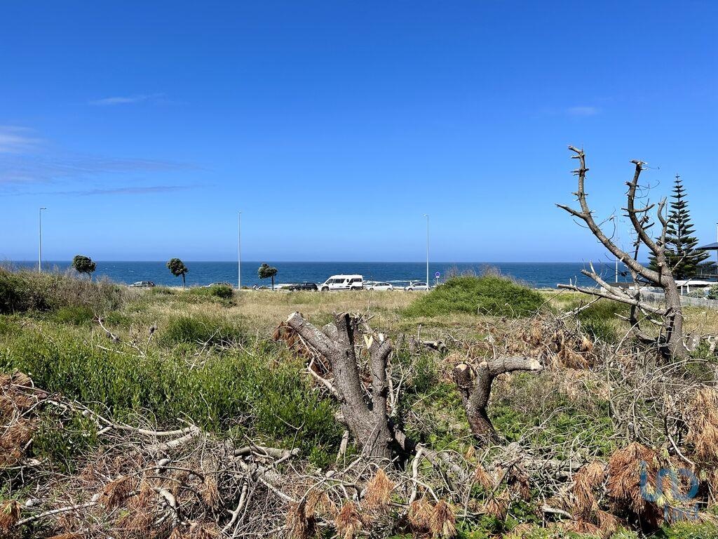 Land in Caminha - view 1