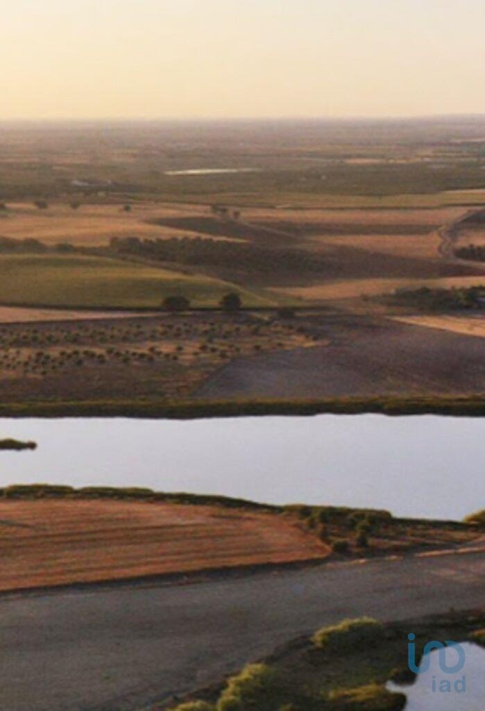 Land in Beja - view 1