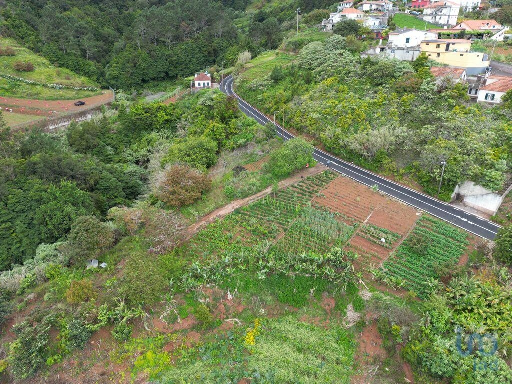 Land in Santana - view 1