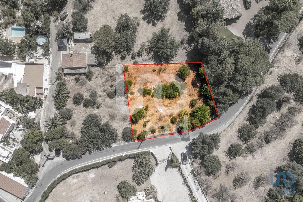 Land in Loule - view 1