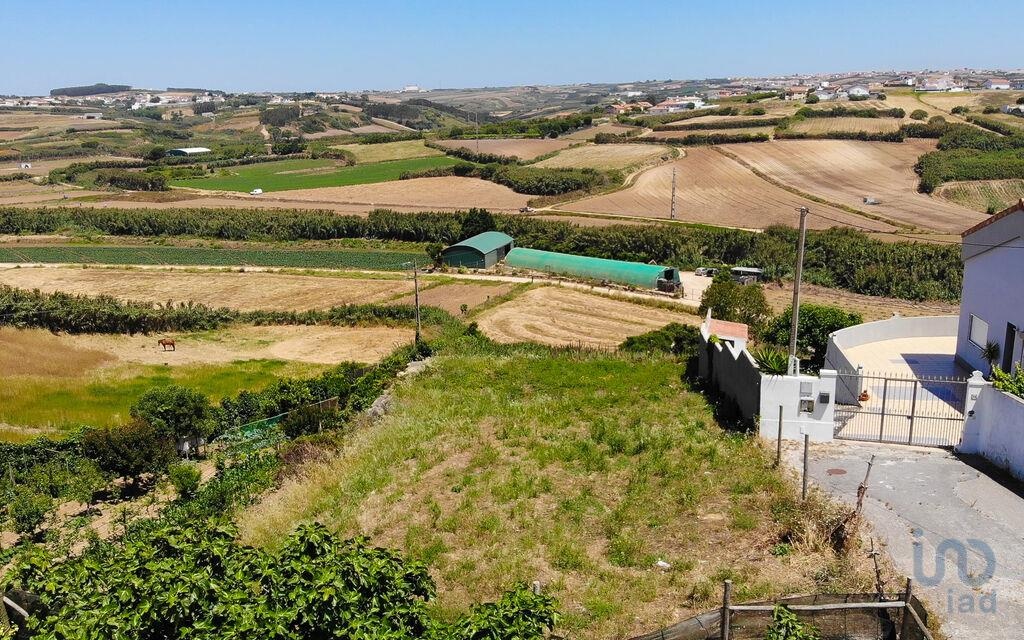 Land in Lourinha - view 1