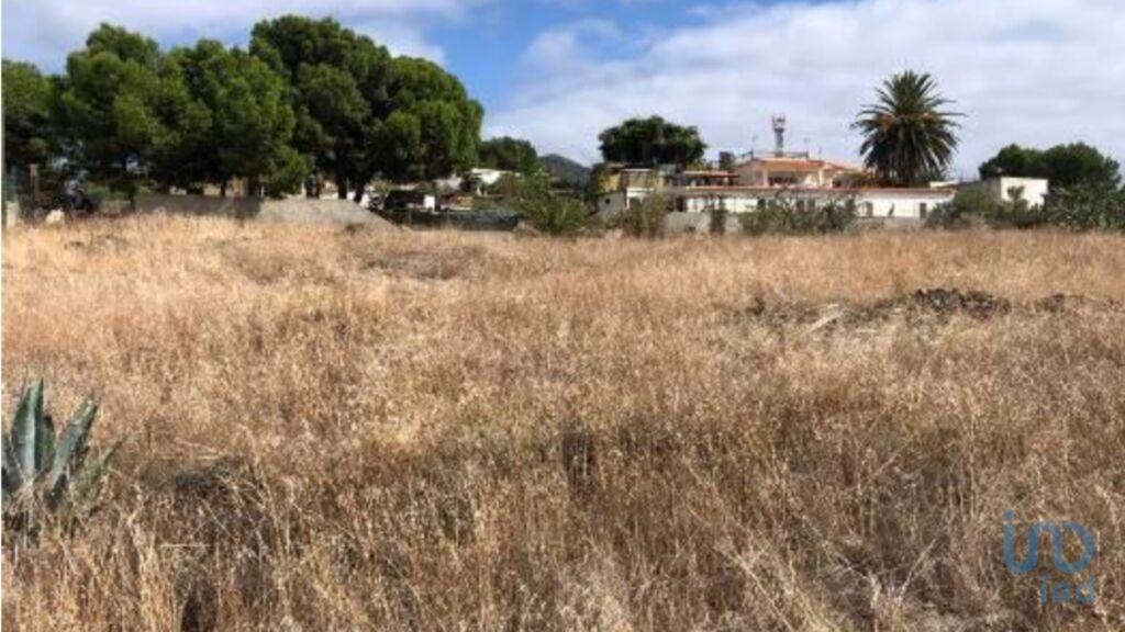Land in Ilha de Porto Santo - view 1