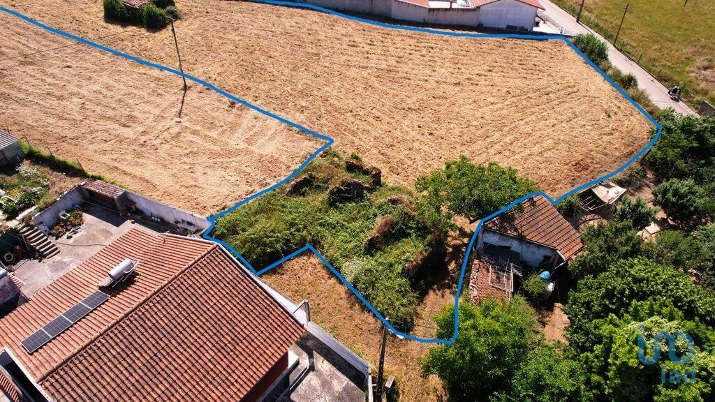 Land in Alcobaca - view 1