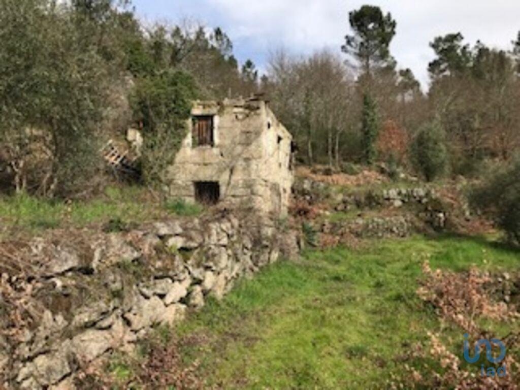 Land in Tondela - view 1