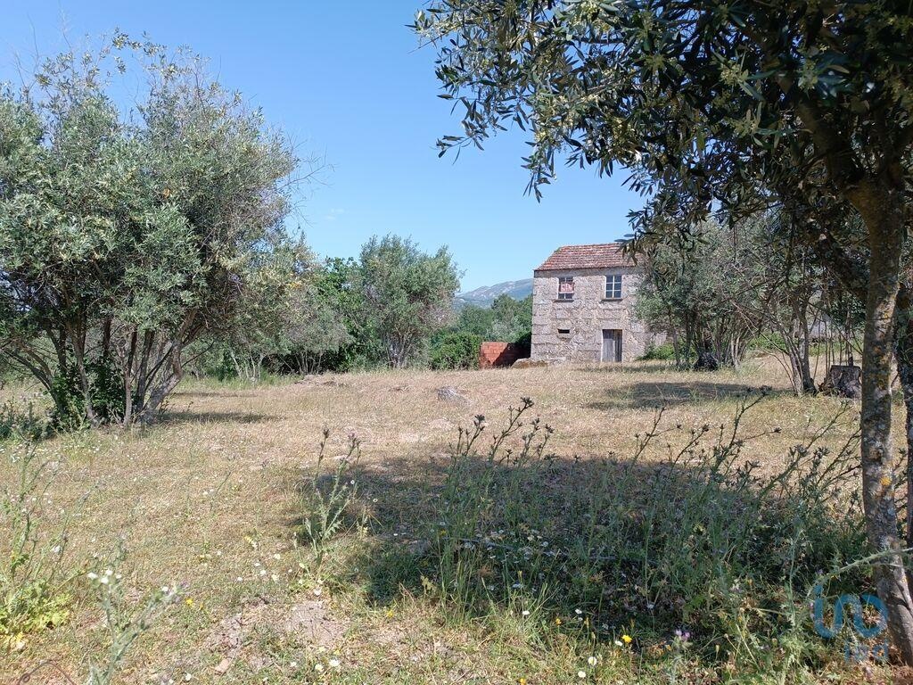 Land in Gouveia - view 1
